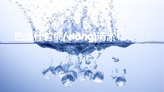 巴洛仕管網(wǎng)清淤設(shè)備，高效清潔，守護(hù)都市水環(huán)境